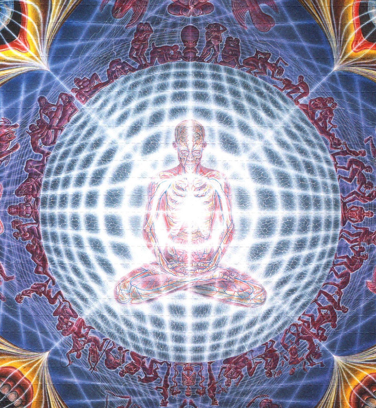Deities & Demons by Alex Grey (unsigned)