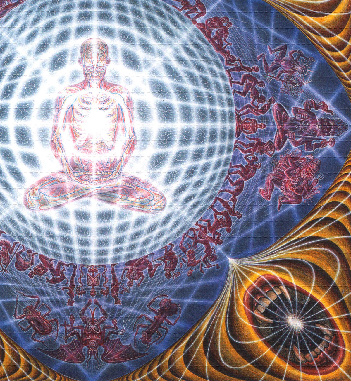 Deities & Demons by Alex Grey (unsigned)