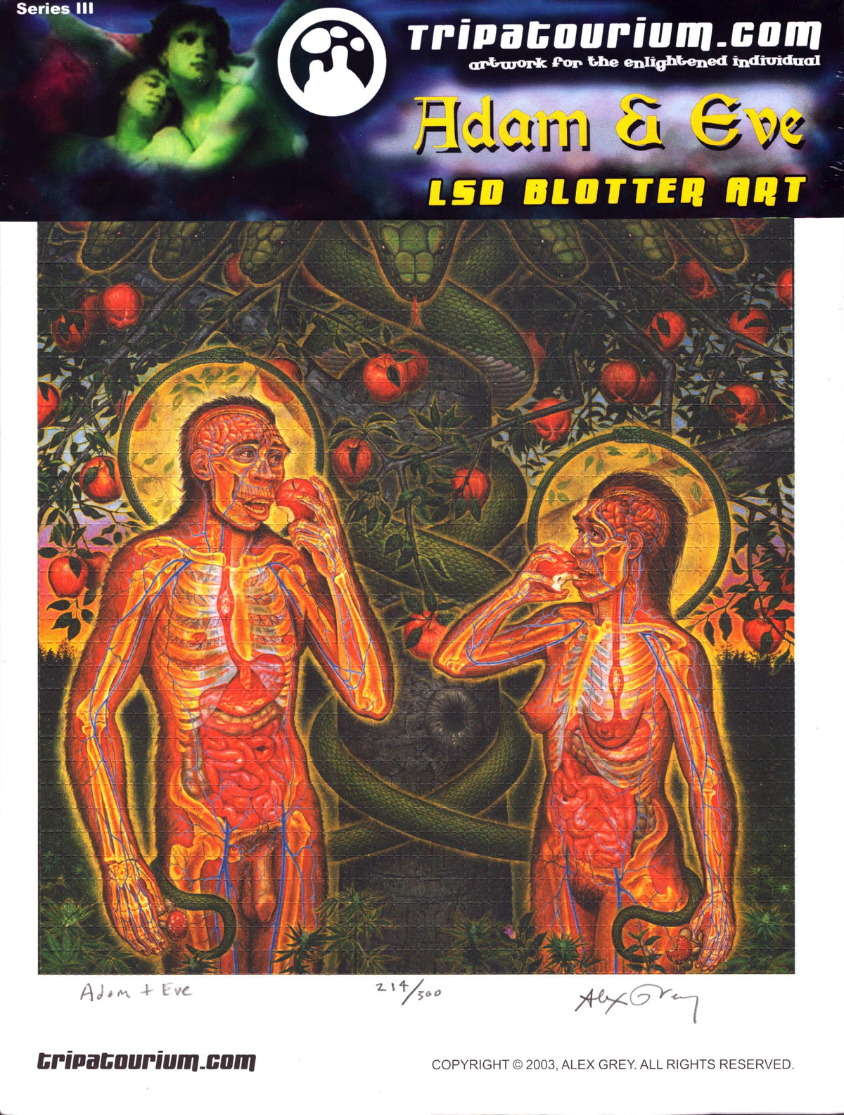 Adam & Eve Blotter Art by Alex Grey (signed)