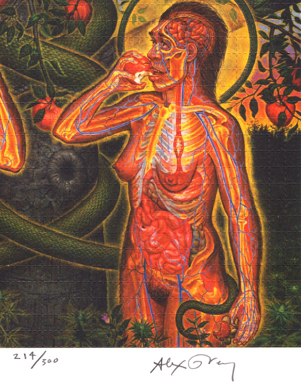 Adam & Eve Blotter Art by Alex Grey (signed)