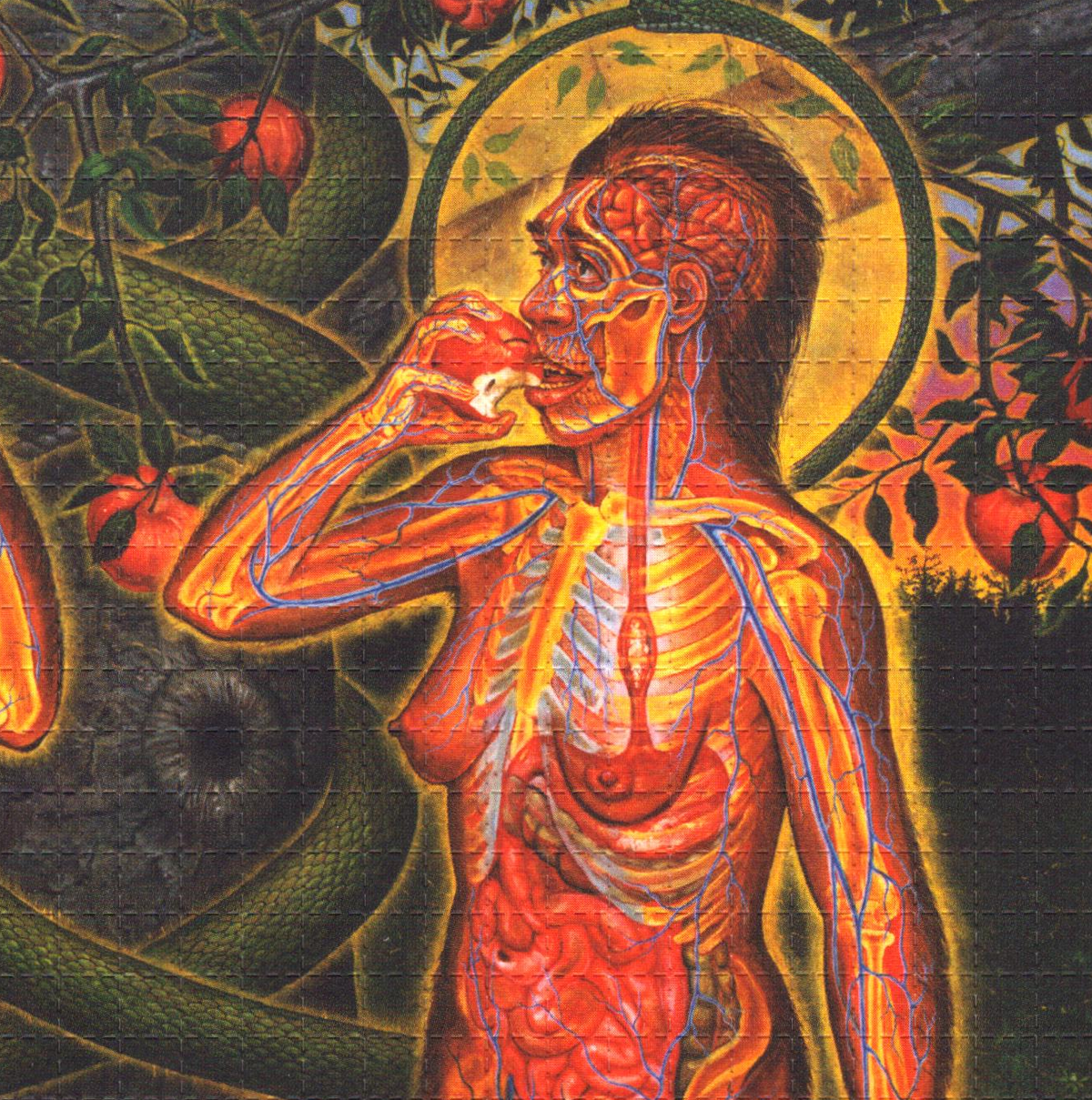 Adam & Eve Blotter Art by Alex Grey (unsigned)