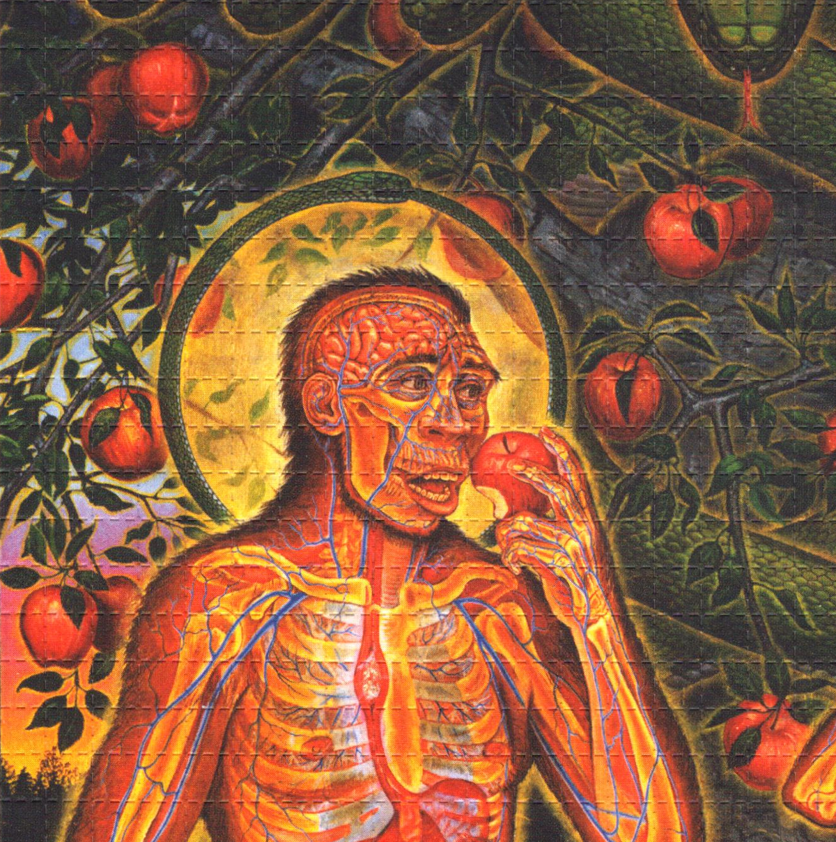 Adam & Eve Blotter Art by Alex Grey (unsigned)