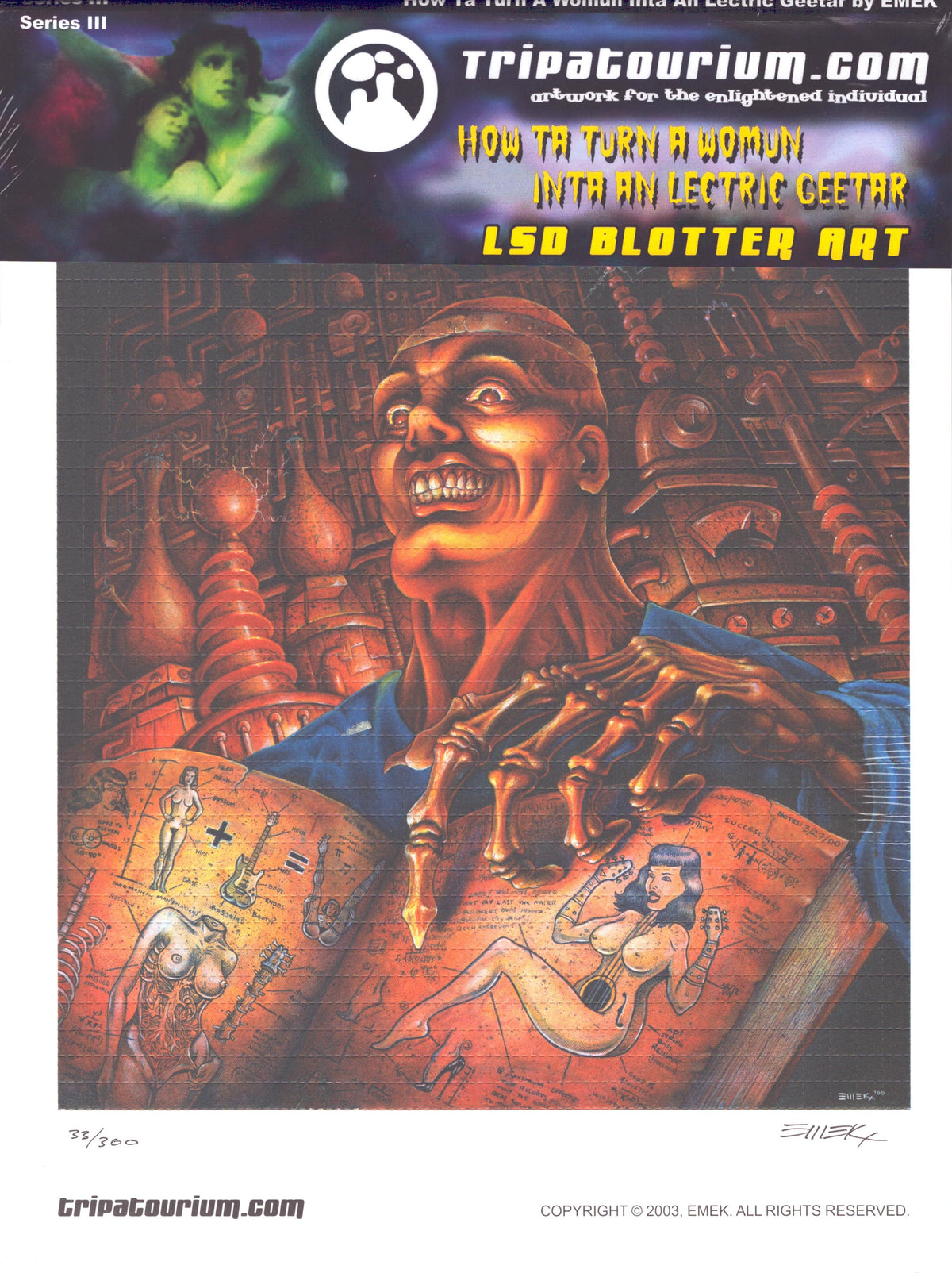 "How Ta Turn A Womun Inta An Lectric Geetar" by EMEK (signed)