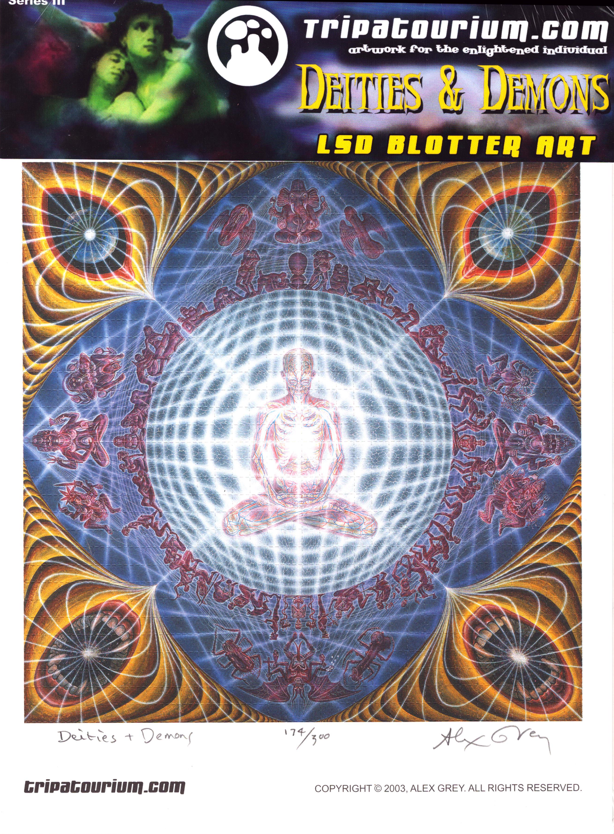 Deities & Demons by Alex Grey (signed)