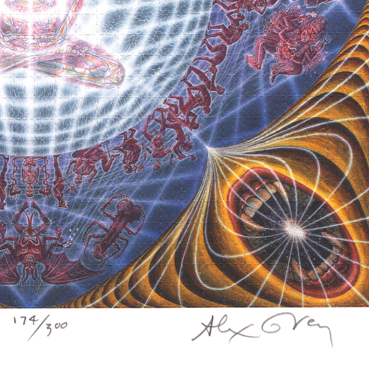 Deities & Demons by Alex Grey (signed)