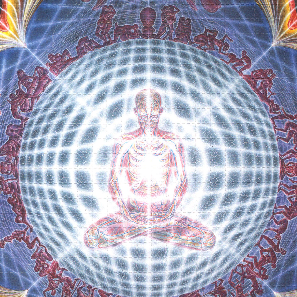 Deities & Demons by Alex Grey (signed)