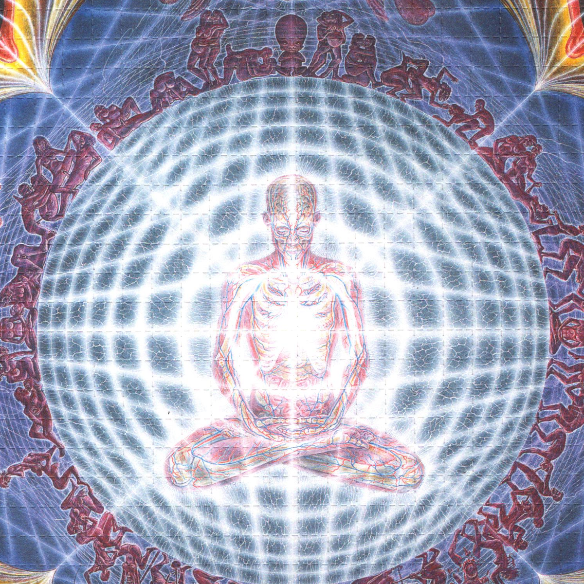 Deities & Demons by Alex Grey (signed)