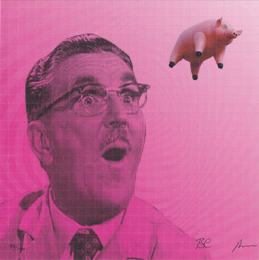 Flying Pig by Brian Cox and Robert Mackey (signed)