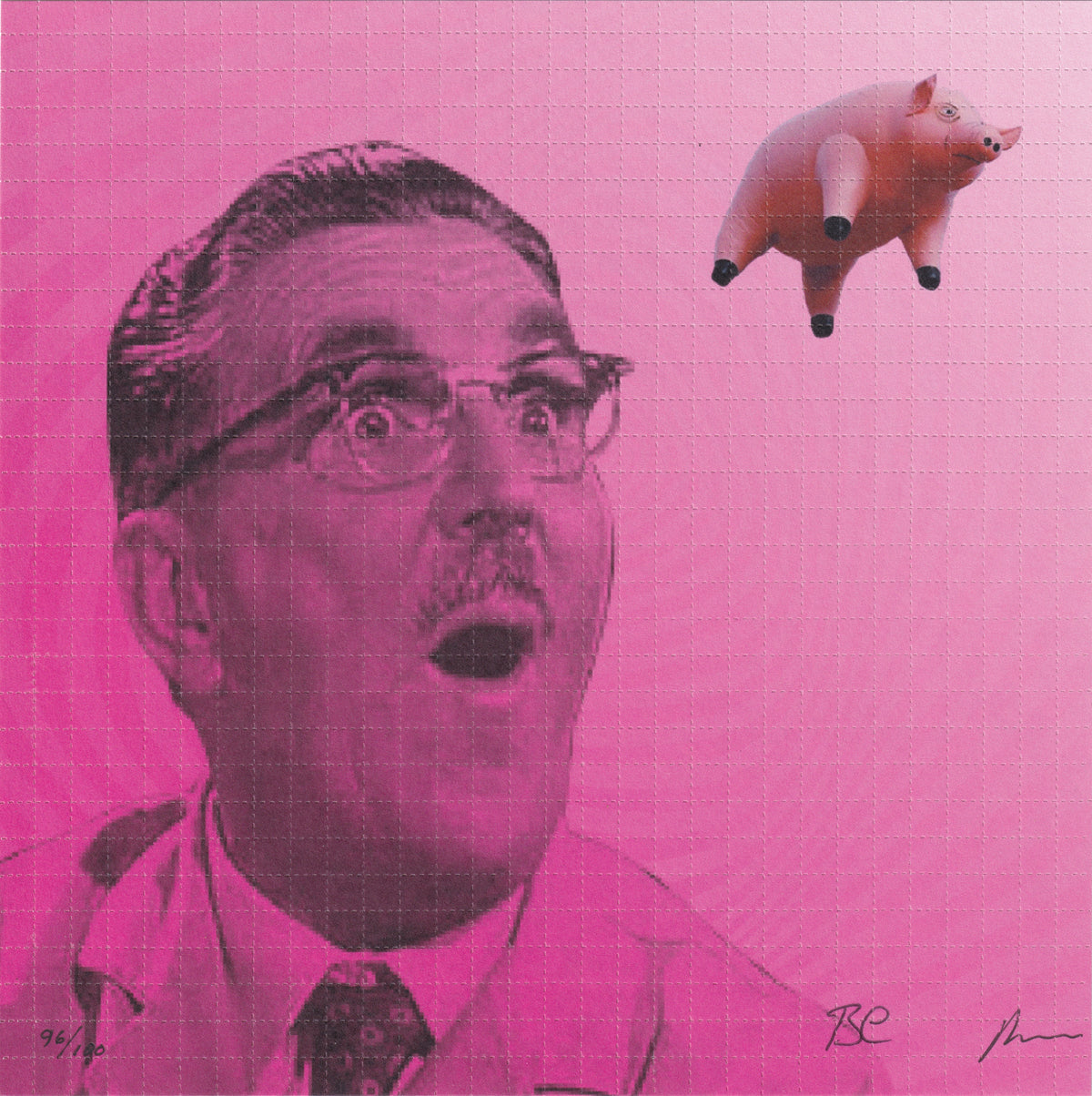Flying Pig by Brian Cox and Robert Mackey (signed)