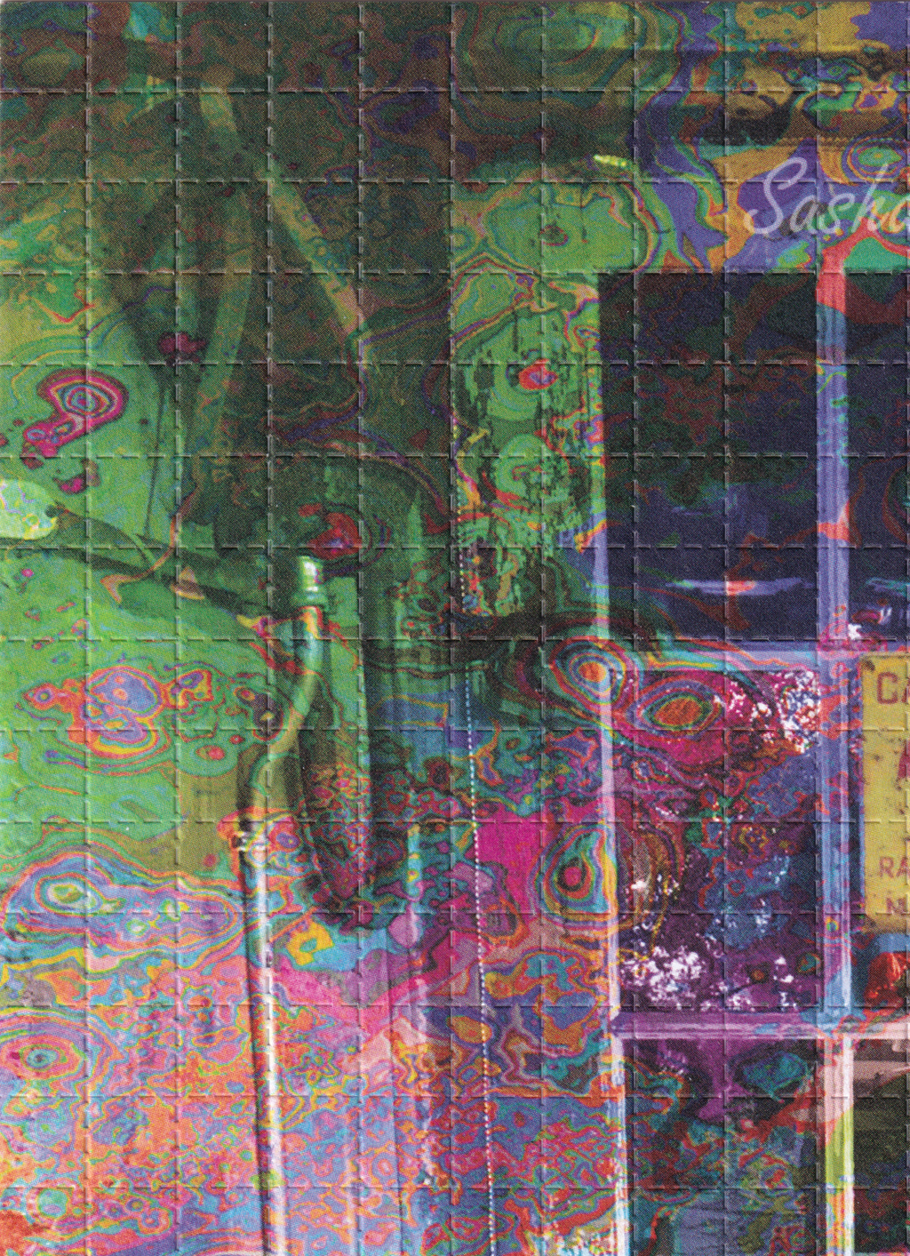 Shulgin's Lab Door signed by Ann Shulgin (signed)