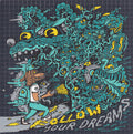 Follow Your Dreams Blotter Art by Killer Acid (signed)