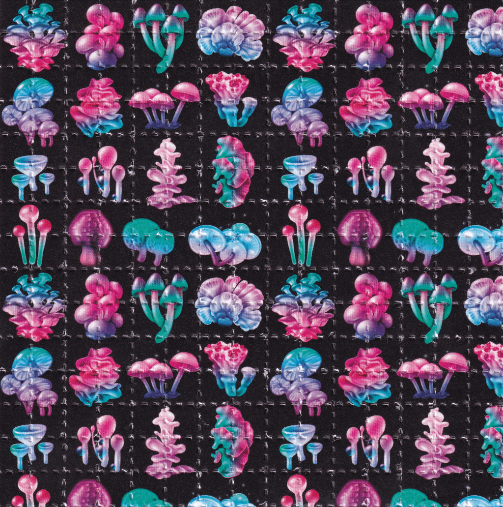 Mushrooms Blotter Art signed by Paul Stamets (signed)