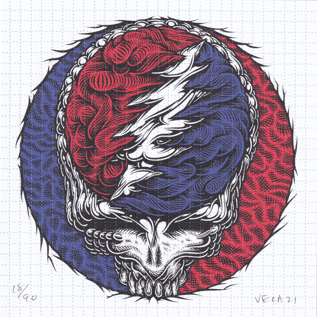 Stealie Skull Blotter Art by Mark Dean Veca (signed)