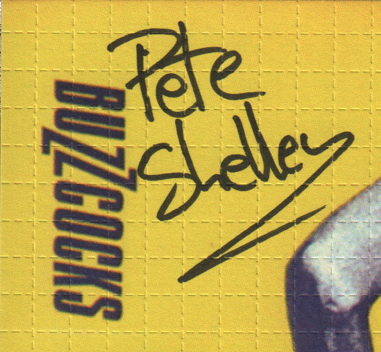 Buzzcocks Pete Shelley Signed Blotter Art