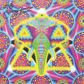 Ganesh Signed Blotter Art by Ciaran Shaman