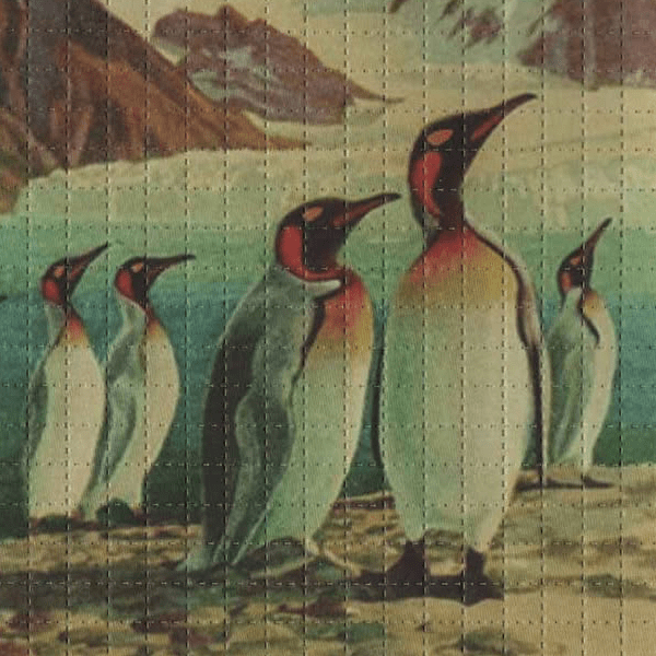 Penguins Blotter Art By Ziero Muko