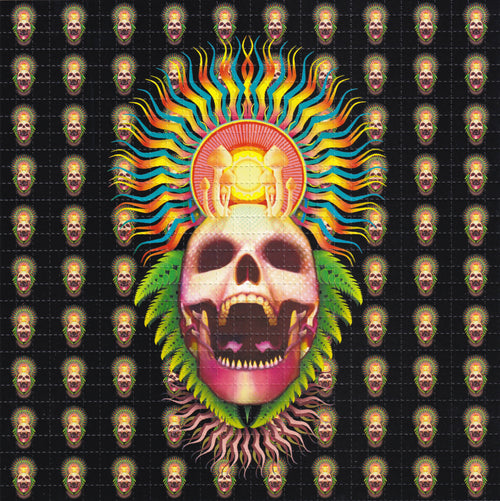 Mushroom Skull Blotter Art