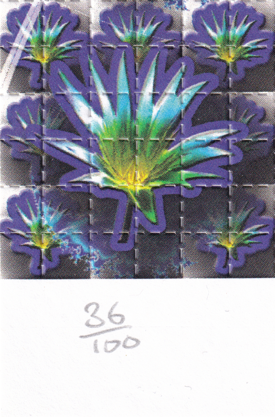 Pink Lotus Blotter Art by Lucifer 2000's
