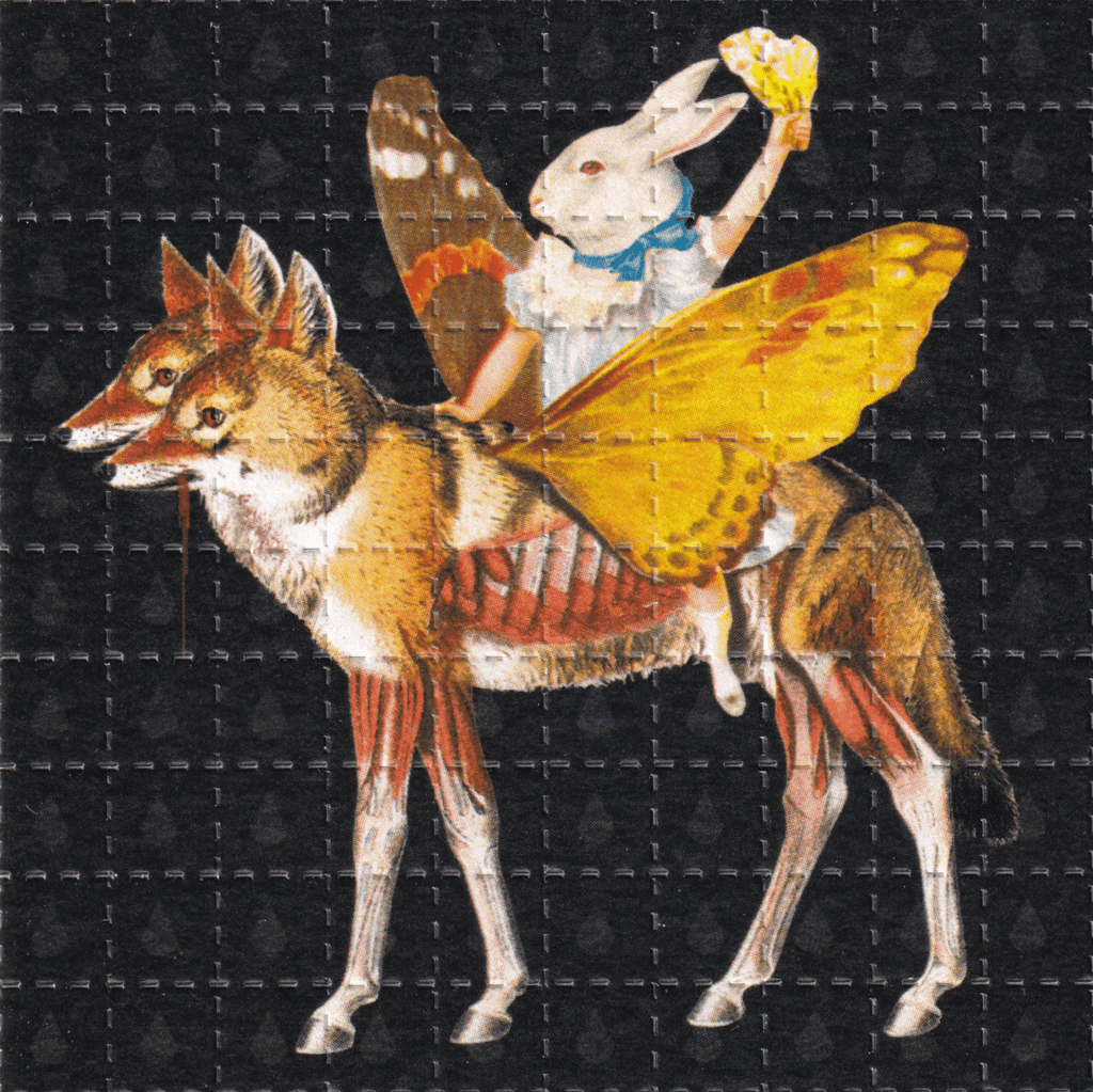 Rider Blotter Art By Ziero Muko