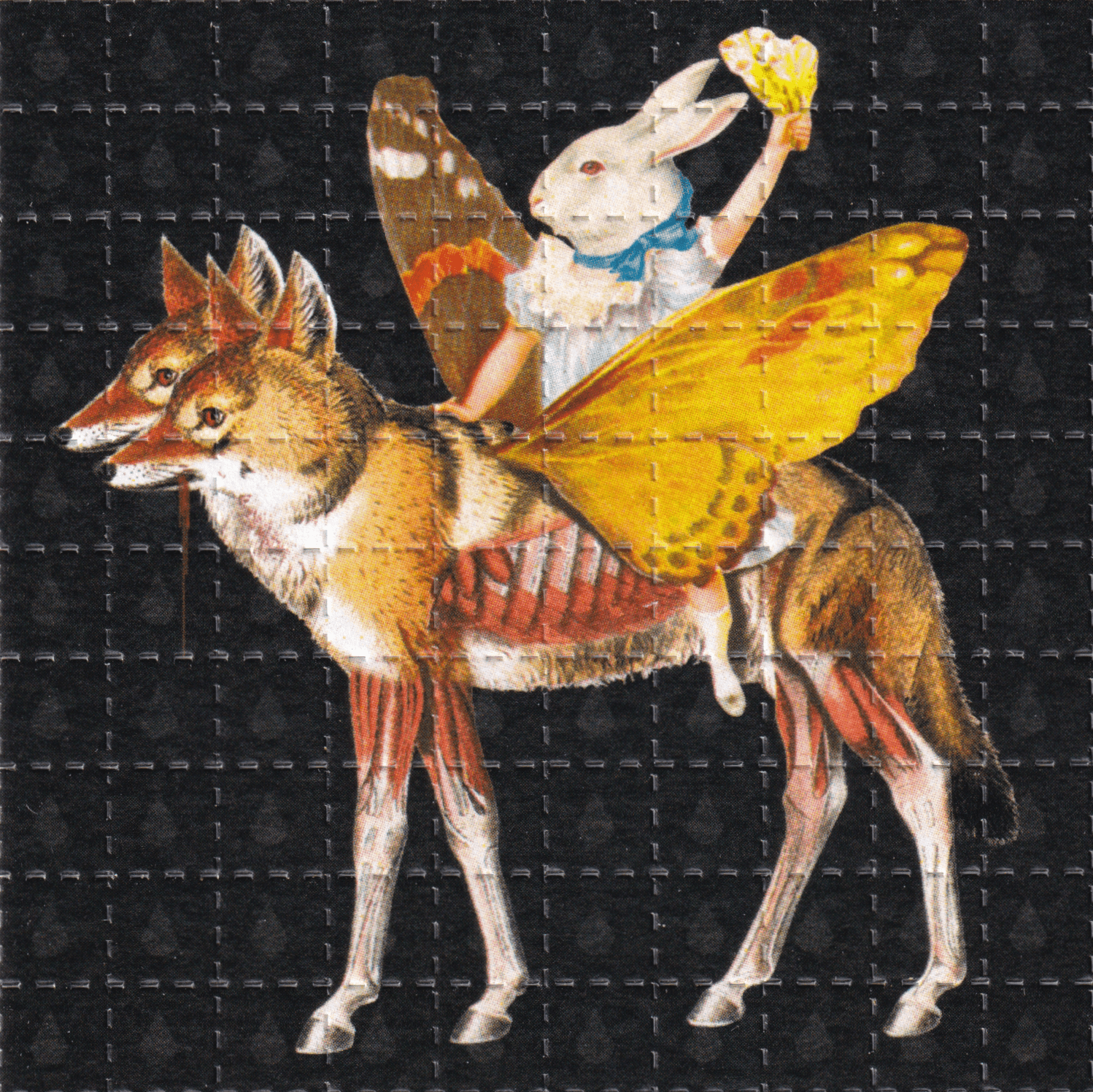 Rider Blotter Art By Ziero Muko