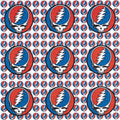 Stealie Skull Blotter Art