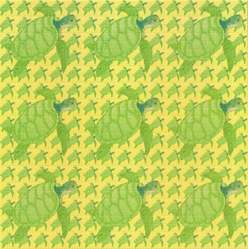 Terrapin Blotter Art